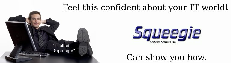 "I called Squeegie Software Services, Ltd. Now I am confident about my IT world."